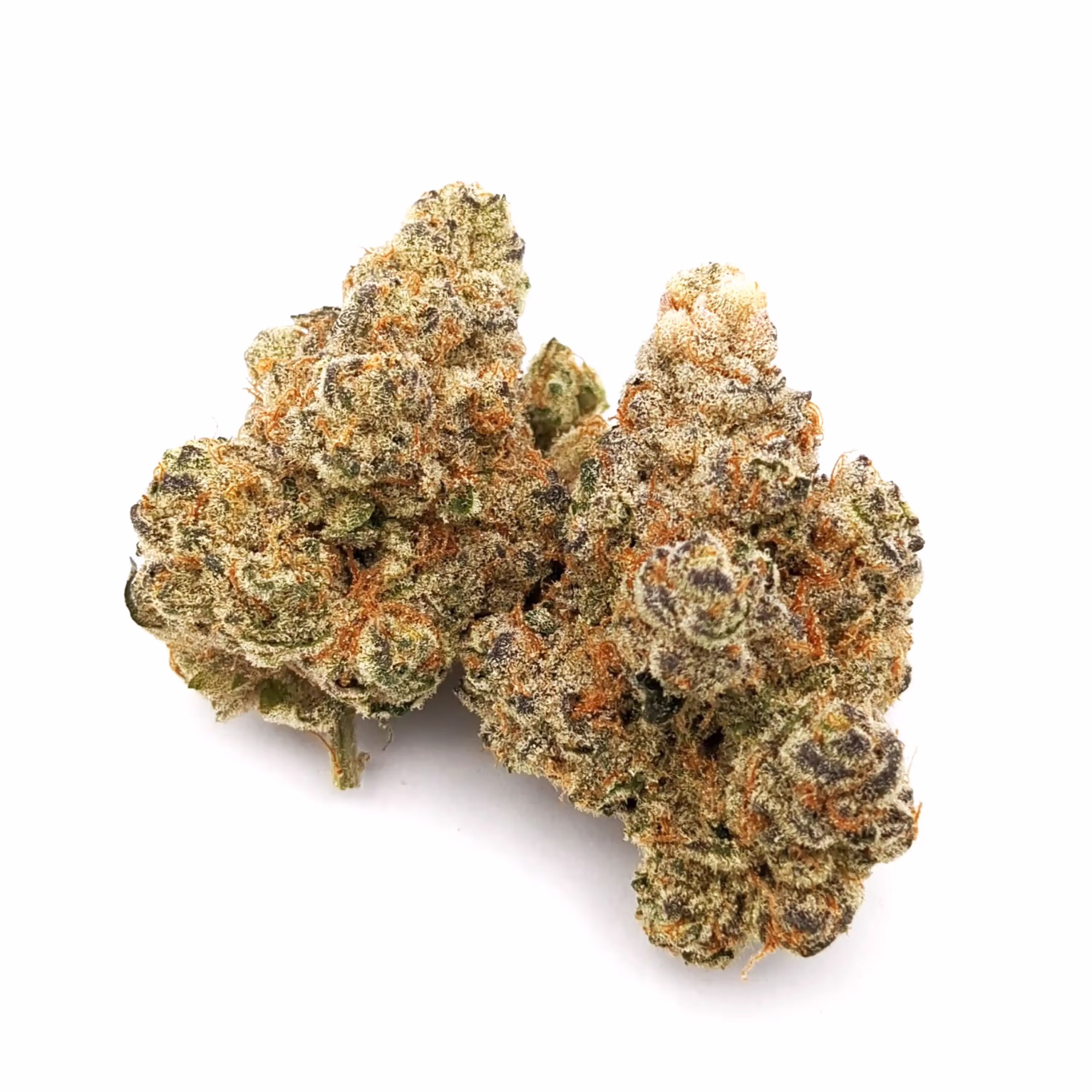 Bananaconda Cannabis Kaufen