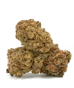 9lb Hammer Cannabis Kaufen