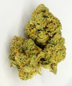 Acapulco Gold Cannabis