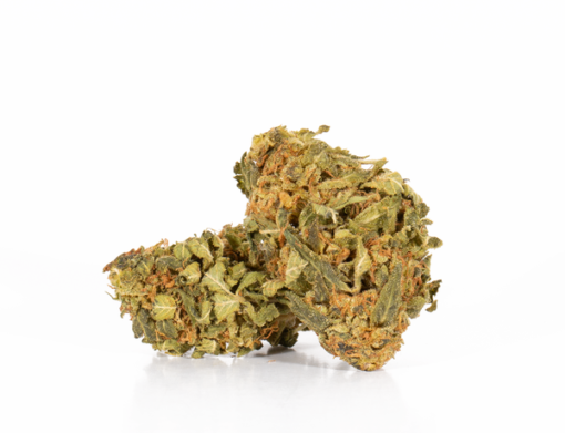Afghan Kush