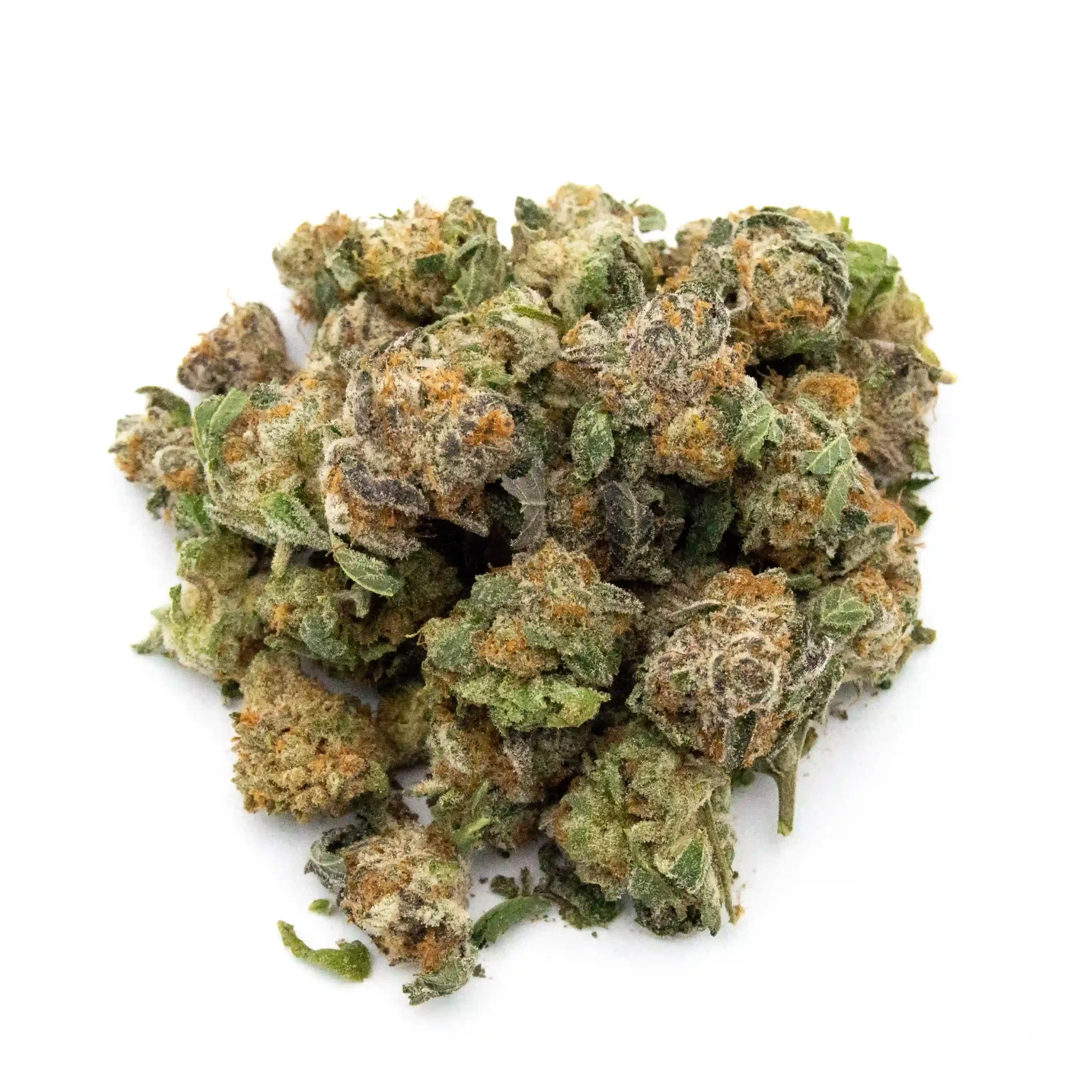 GMO x Mai Tai