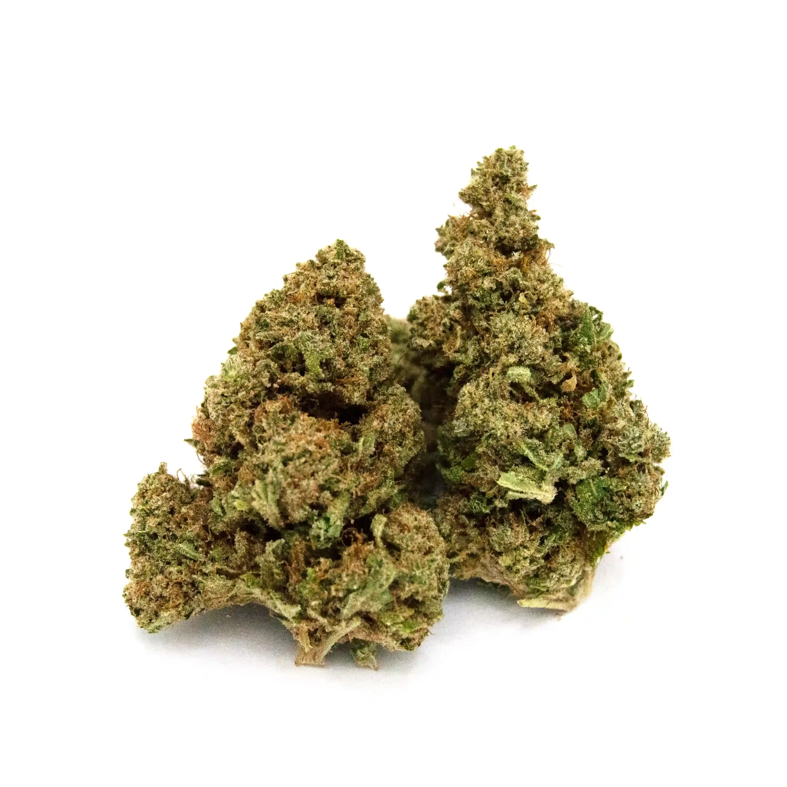 Godfather OG Cannabis
