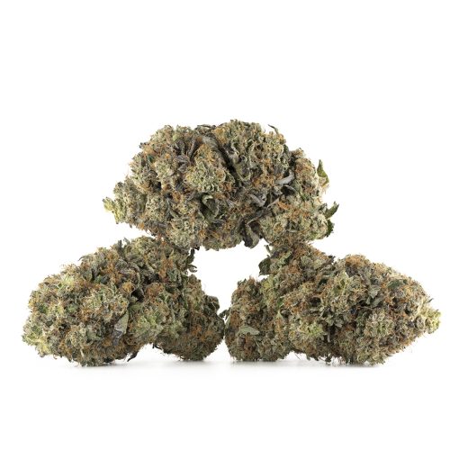 Northern Lights Cannabis Kaufen